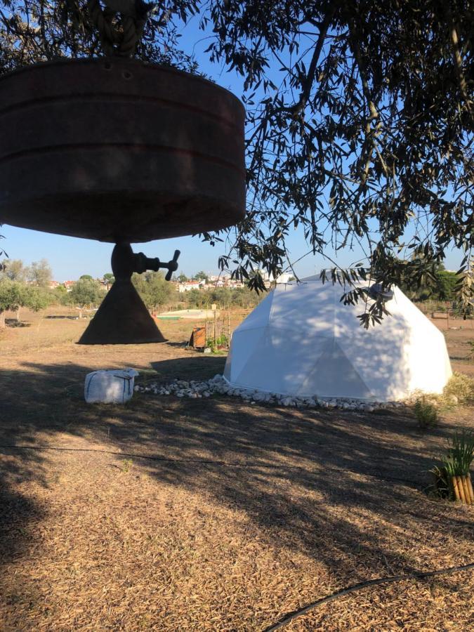 Forest Domes Setúbal Eksteriør bilde